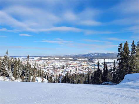 Whitehorse .